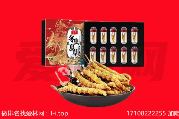 黎川县回收虫草.jpg